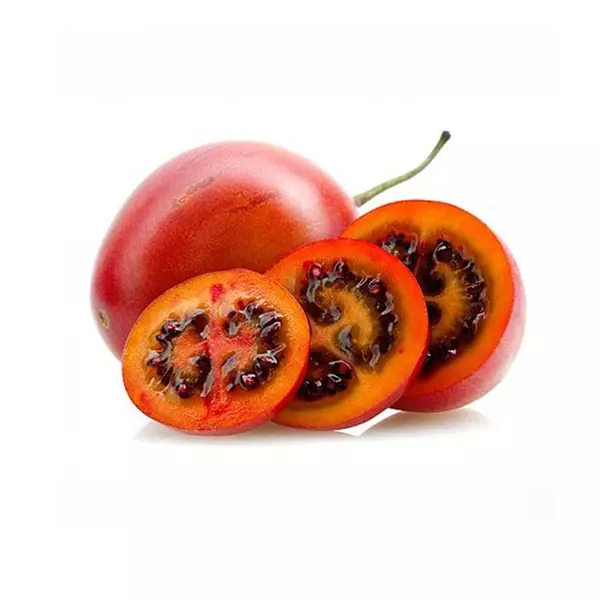 Tomate de Arbol Injerto Rojo