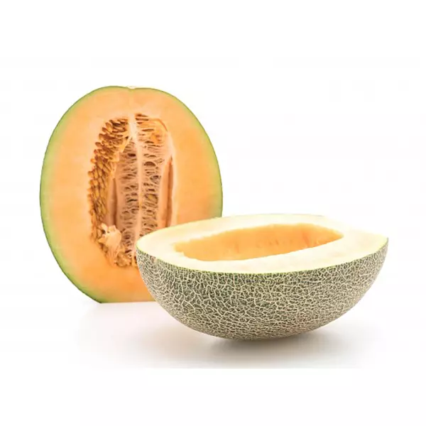 Melon Cantaloupe