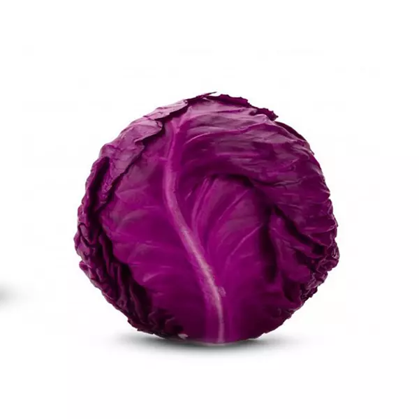 Lechuga Morada